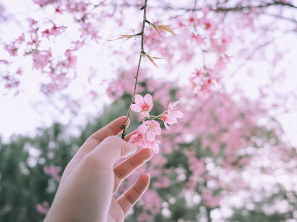 Chơi gì cuối tuần: Ngược thời gian về Hà Nội xưa, học viết thư tay gửi "người ấy"