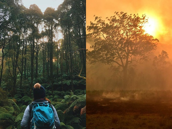 Cảnh đối lập trước và sau thảm họa cháy rừng ở Australia