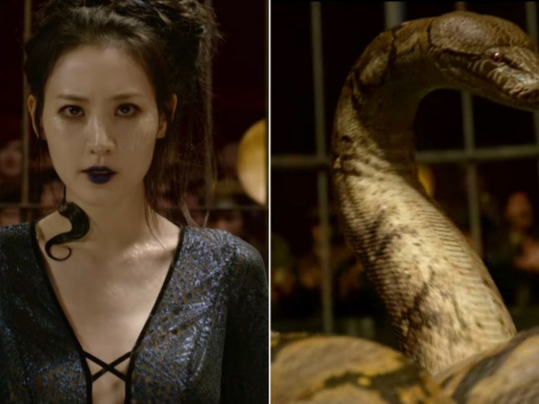 Không phải Newt Scamander hay Dumbledore, mãng xà Nagini mới là người gây hóng nhất “Fantastic Beasts 2”