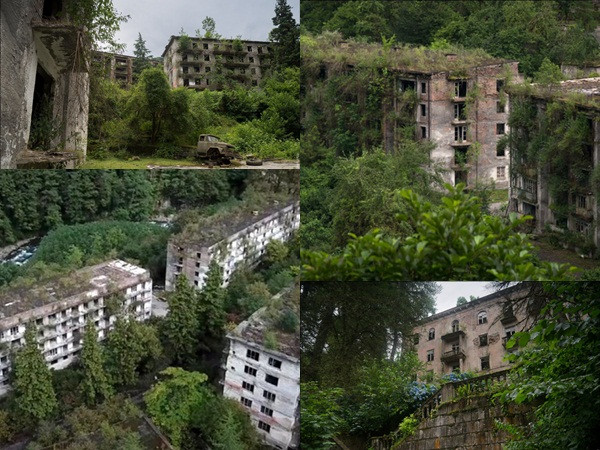 Thị trấn ma bị thảm thực vật xâm chiếm