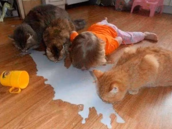 Để chó mèo ở nhà một mình đã đủ mệt, mà cho chúng chơi cùng lũ trẻ thì ôi thôi...