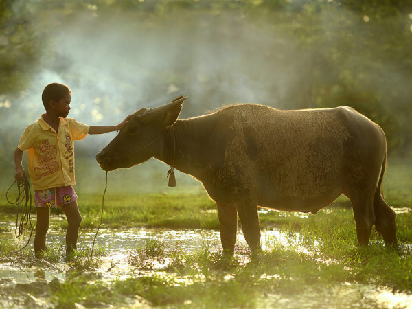 “Những mốc thời gian hạnh phúc”: Hãy cùng tôi về một cánh đồng