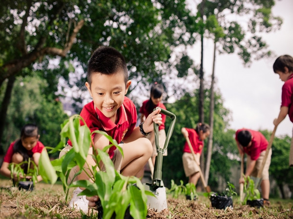 Hơn 20.000 học sinh, phụ huynh và giáo viên tham gia dự án “Năm học Xanh”