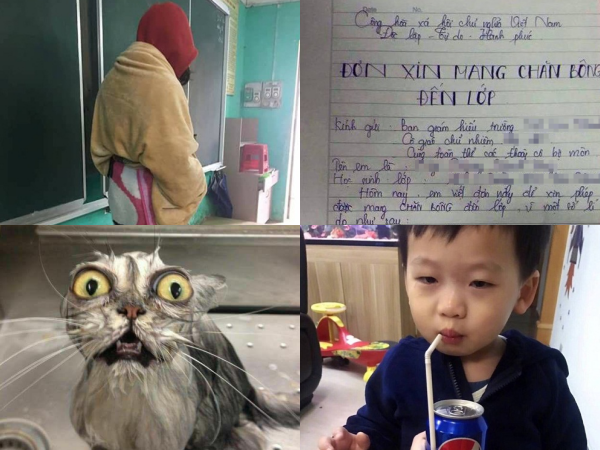 Dù đang buồn cỡ nào, bạn vẫn không thể nhịn cười khi xem xong loại ảnh vui này!