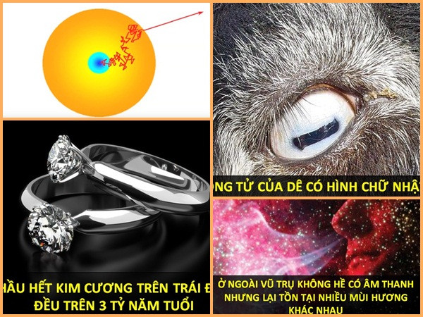 Những sự thật khoa học khiến bạn nhận ra kiến thức của mình là quá ít ỏi!