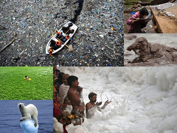 11 bức ảnh khiến cả thế giới phải thức tỉnh