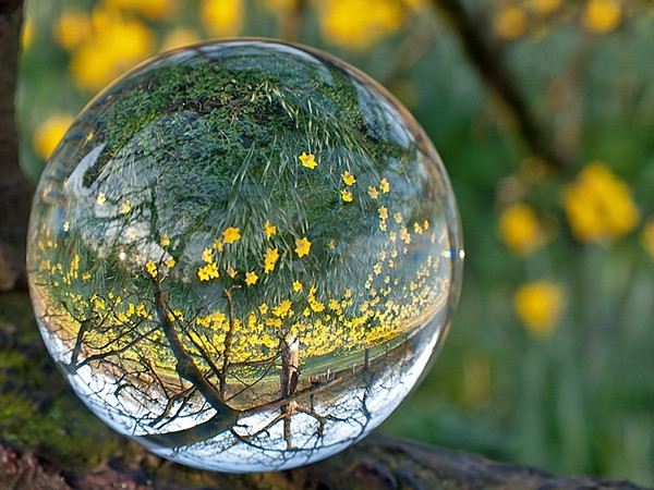 Khi mất đi thị giác, người bạn tôi đã “nhìn” bằng một “đôi mắt” khác