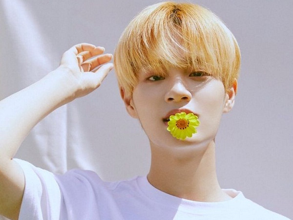 Lee Dae Hwi (Wanna One) sẽ sáng tác ca khúc chủ đề cho show Produce 48?