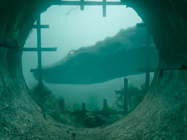 Loài cá sấu hung tợn lại lên phim, lần này chúng sẽ hung dữ đến mức nào?