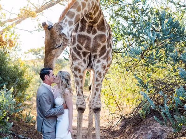 Phát sốt với "kẻ phá đám" trong bộ ảnh cưới siêu đáng yêu