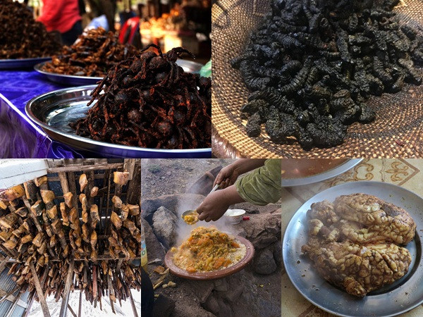 Phóng viên Lonely Planet kể chuyện ăn nhện rán, sâu khô