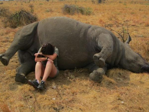 Loạt ảnh mang thông điệp sâu sắc về cuộc sống có thể khiến bạn cảm động