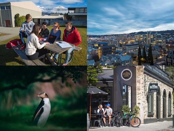 Khám phá thành phố du học Dunedin qua những biệt danh thú vị