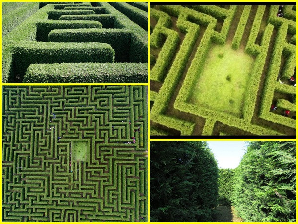 Khám phá Villapresente - mê cung hàng rào lớn nhất ở Tây Ban Nha