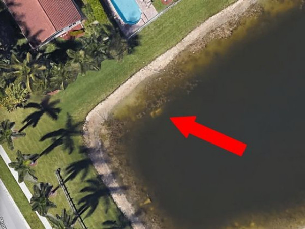 Nhờ Google Maps, cảnh sát đã giải mã được vụ mất tích bí ẩn 20 năm trước