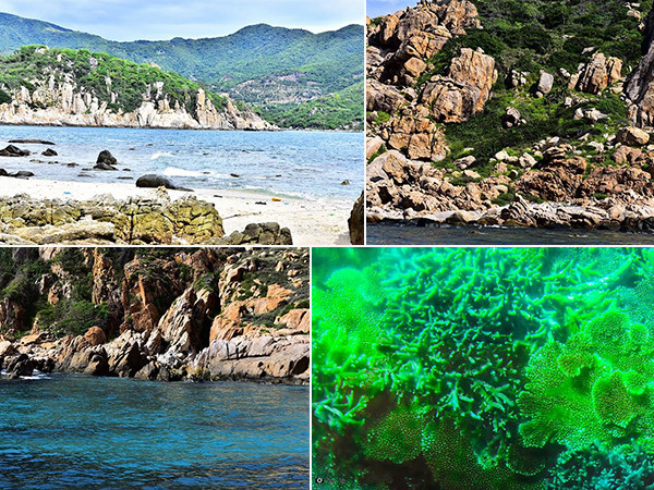 Khám phá vẻ đẹp hoang sơ của vịnh Vĩnh Hy - Ninh Thuận