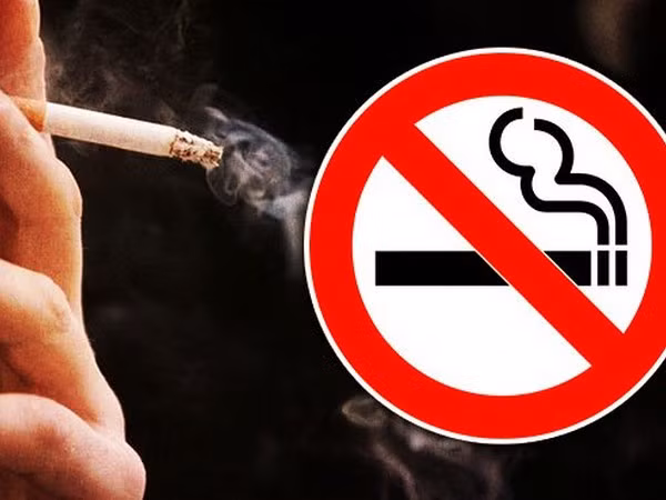 Để giữ sức khỏe cho bản thân và mọi người, Tết này, đừng biếu thuốc lá làm quà!