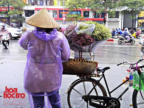 Mùng 8/3 và những bó hoa chưa tìm được nơi để thuộc về