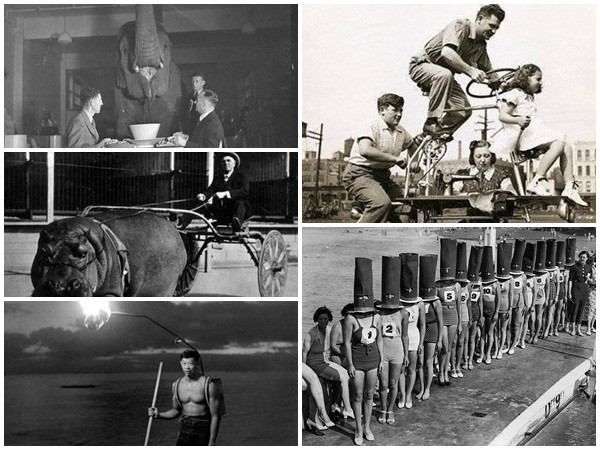 Những bức ảnh hiếm trong lịch sử có thể khiến bạn ngỡ ngàng