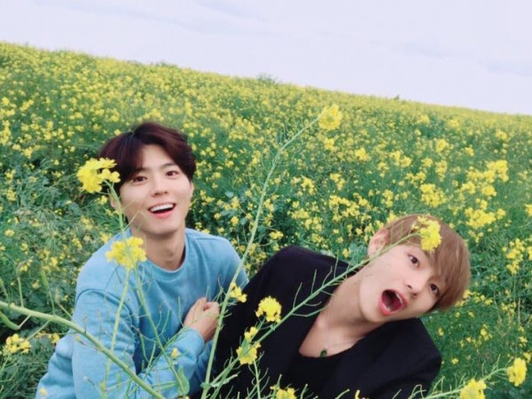 Không nghi ngờ gì nữa, V (BTS) đích thực là chàng trai “bạn của mọi nhà”