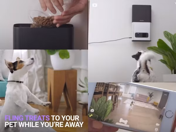 Cho thú cưng ăn bằng máy ảnh điều khiển từ xa... vạn dặm