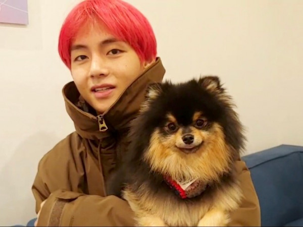 Chuyện khó tin mà có thật, cún cưng của V đã bí mật debut làm ca sĩ?