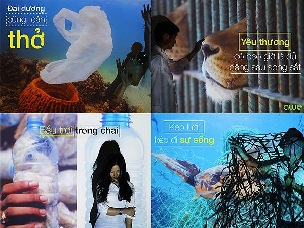 Xem bộ ảnh này, bạn sẽ giật mình trước những tác động của con người đến động vật hoang dã