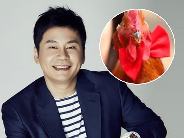 Nhờ “ông lớn” nhà YG mà một chú gà trống... bỗng nổi tiếng toàn thế giới!