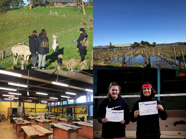 Có gì thú vị khi teen Việt trải nghiệm du học New Zealand?