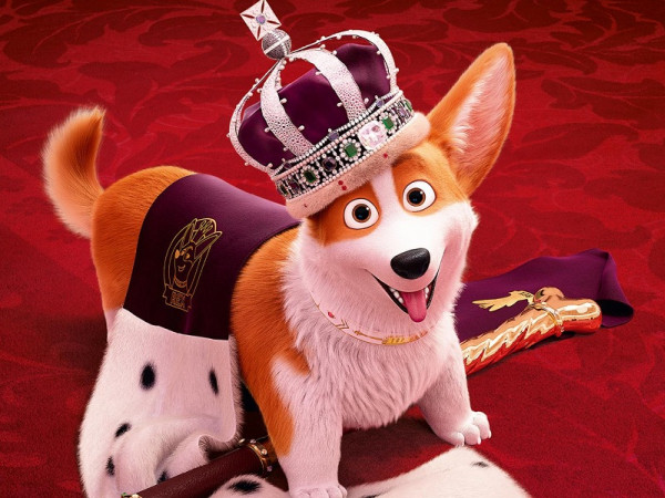 Làm "đệ nhất khuyển" của Hoàng gia Anh, có gì sung sướng hơn "boss nhà người ta"?