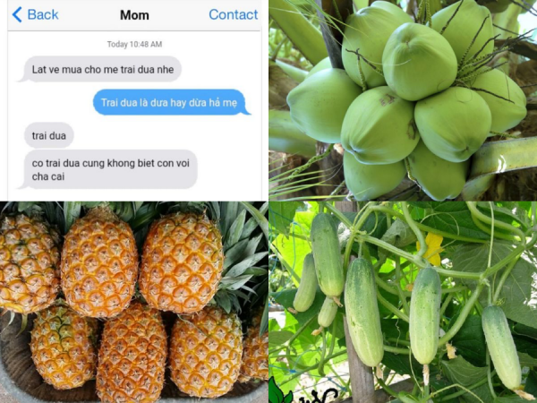 Mẹ nhắn tin không dấu nhờ mua "trai dua", dân mạng thi nhau đoán là "Dứa, Dưa hay Dừa"?