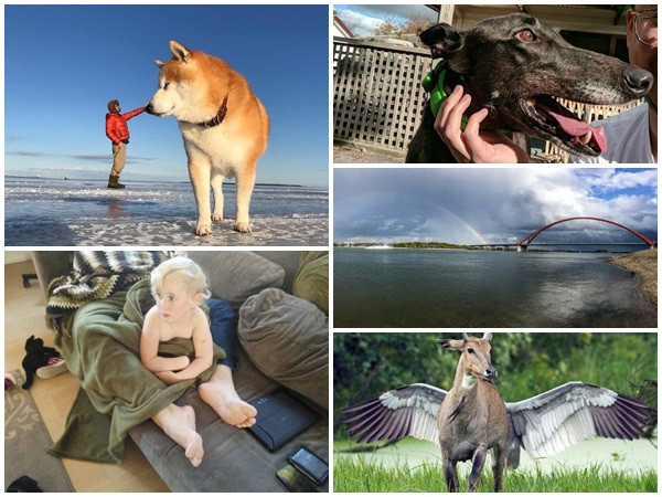 Chùm ảnh trùng hợp hài hước và đầy thú vị nhờ vào góc chụp