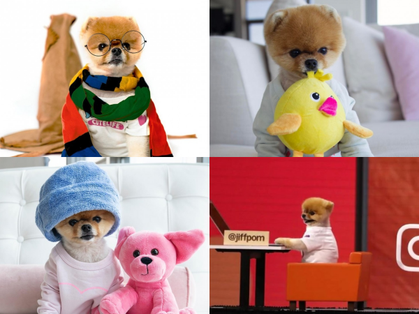 "Hot dog” sở hữu gần 9 triệu lượt theo dõi Instagram: Mức cát-xê “khủng”, đóng MV cho Katy Perry