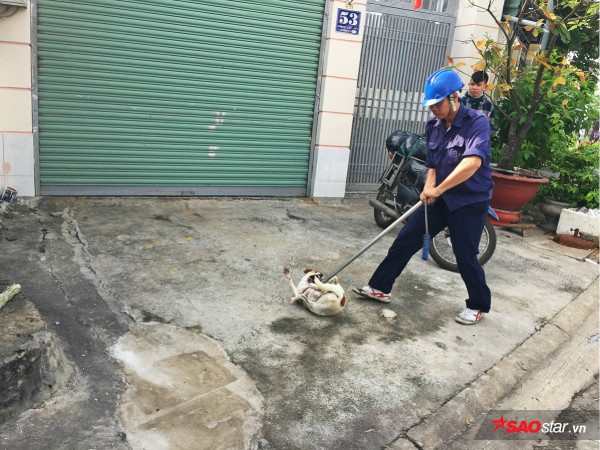 Vây bắt chó thả rông tại Thủ Đức: 4 chú chó về trại, chủ hốt hoảng chạy theo xin về