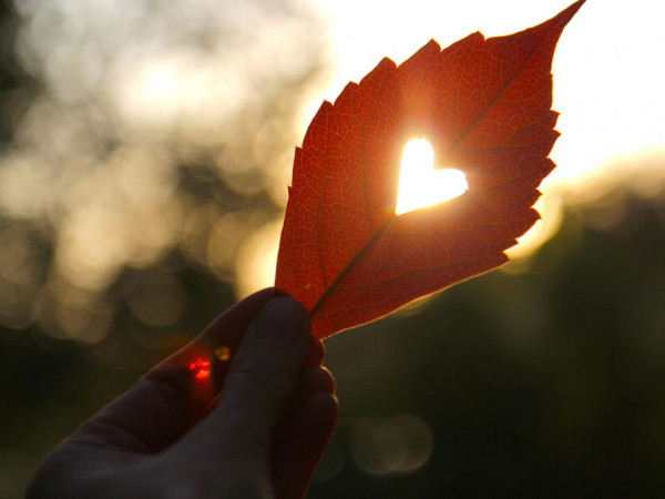 Bạn đang mong chờ một mối tình như thế nào, nhẹ nhàng ngọt ngào hay bùng nổ?