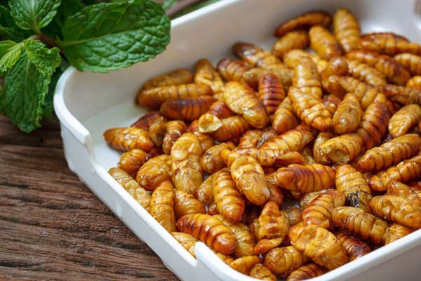 6 món ăn của Việt Nam được thế giới đánh giá là "kỳ lạ rất đáng trải nghiệm"