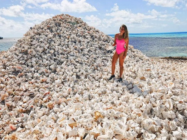 Hòn đảo được tạo từ hàng triệu vỏ ốc xà cừ
