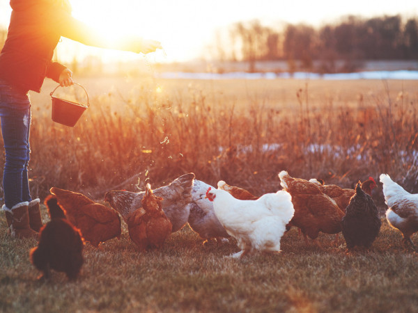 Những mốc thời gian hạnh phúc: Một chiều về với cố hương