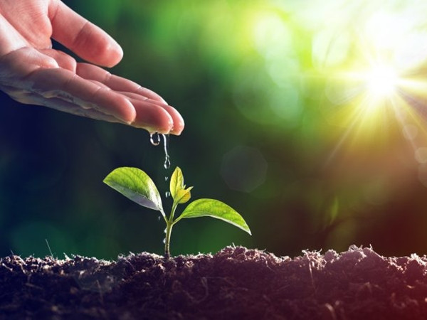 Không phải mọi nỗ lực đều có kết quả, nhưng niềm vui nằm ở cuộc hành trình