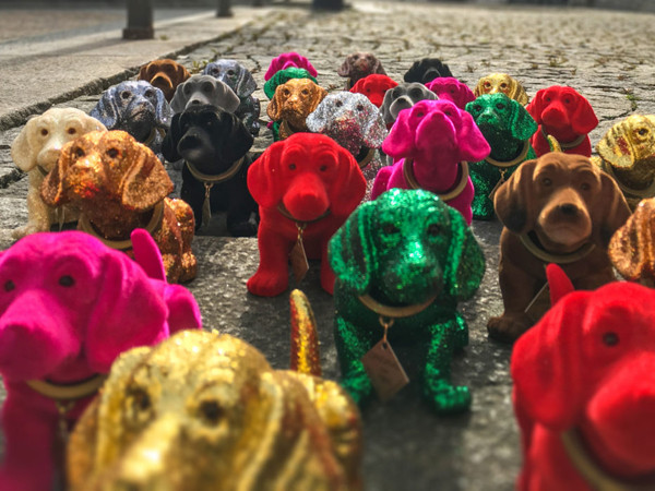 Những bảo tàng độc đáo mà hội yêu cún cưng nhất định phải đến một lần trong đời