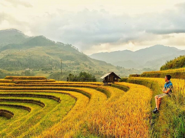 Mùa lúa chín rồi, xách balo lên và đến Mù Cang Chải thôi!