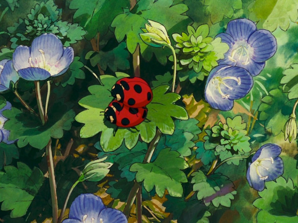 Những mốc thời gian hạnh phúc: Mảnh vườn gia tài của mẹ tôi