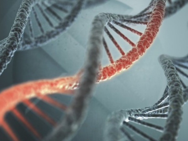 Chuyện thật như đùa: Đột biến gen khiến người phụ nữ này miễn dịch với cảm xúc tiêu cực