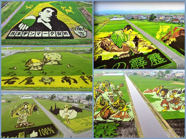 Ngôi làng nghèo “lột xác” nhờ sức hút của những bức tranh lúa