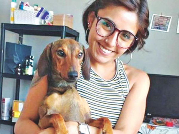 Chú chó sống sót thần kỳ sau khi bị ngã từ máy bay, lang thang trên sa mạc