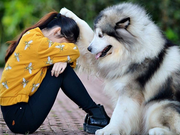 7 việc nên làm khi bạn rất, rất buồn