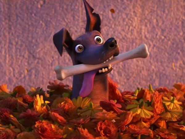 Nếu đang nuôi một em cún, bạn không nên bỏ qua phim ngắn Dante's Lunch! 