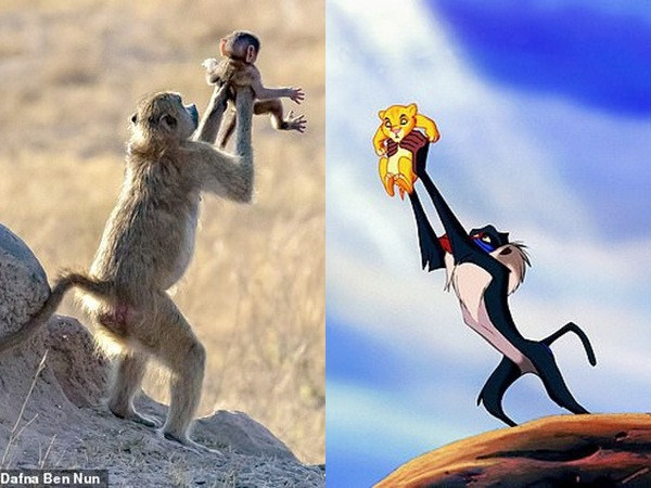 Bức ảnh gợi nhắc tới khoảnh khắc kinh điển trong điện ảnh