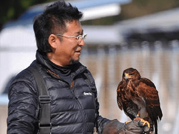 Nhật Bản: "Thuê" diều hâu làm công việc đặc biệt tại tòa thị chính