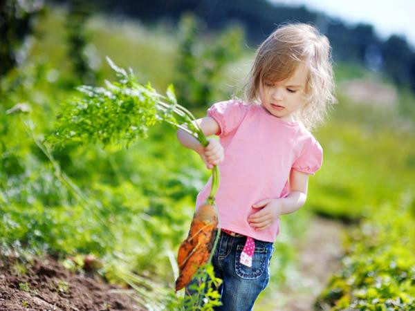 Những mốc thời gian hạnh phúc: Mùa khoai mầm ký ức